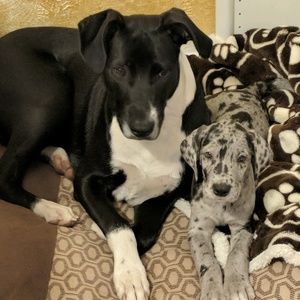 Meet your Posher, Kaleb